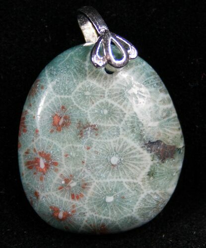 Blue Fossil Coral Pendant - Million Years Old #7699